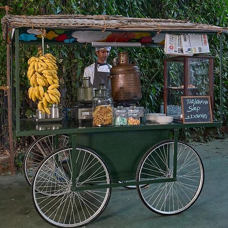 Cardamom County By Xandari Hotel Thekkady Buitenkant foto